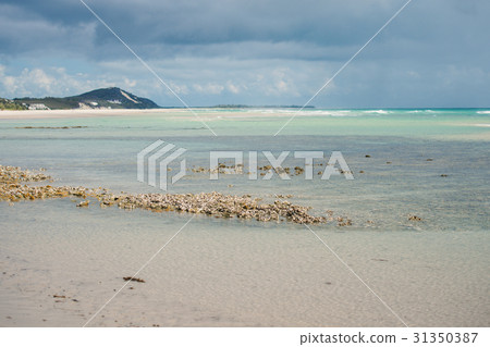 Beachfront at North Point, Moreton Island. 31350387