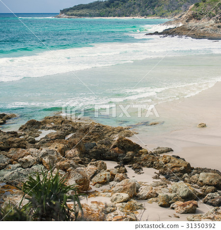 Beachfront at North Point, Moreton Island. 31350392