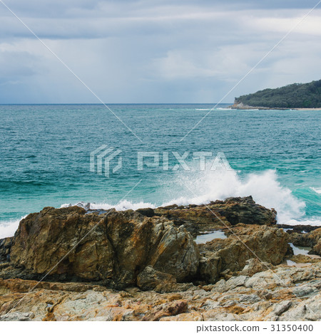 Beachfront at North Point, Moreton Island. 31350400