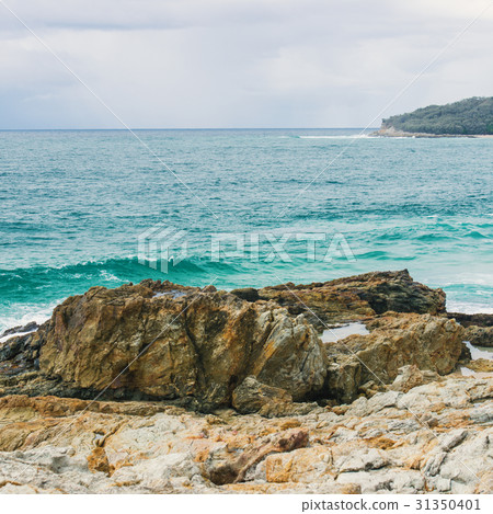 Beachfront at North Point, Moreton Island. 31350401