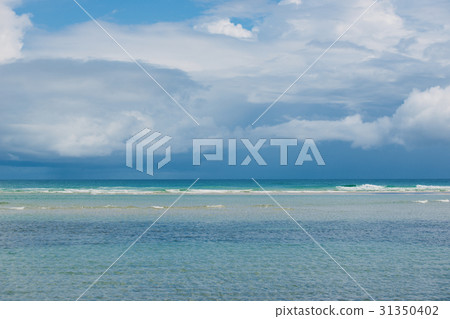 Beachfront at North Point, Moreton Island. 31350402