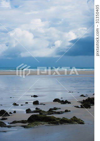 Beachfront at North Point, Moreton Island. 31350405