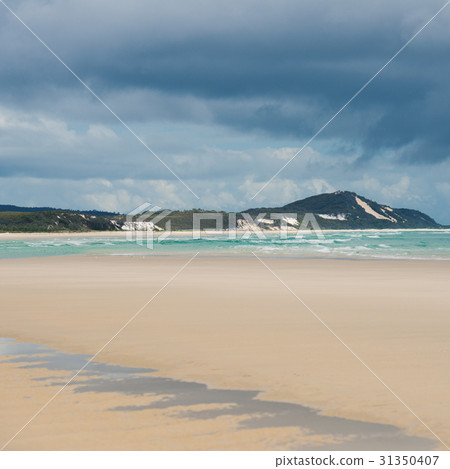 Beachfront at North Point, Moreton Island. 31350407