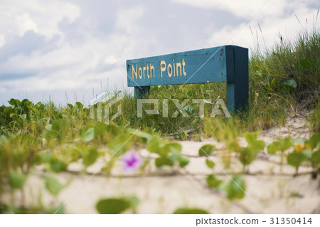 Beachfront at North Point, Moreton Island. 31350414