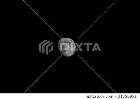 Moonlight Moonlight 31350951