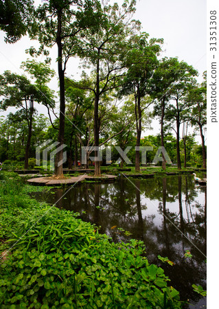 台灣高雄鳳山大東濕地公園Asia Taiwan Kaohsiung Park 台灣高雄鳳山大東濕地公園Asia Taiwan Kaohsiung Park 31351308