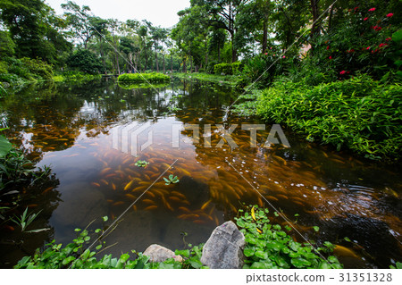 台灣高雄鳳山大東濕地公園Asia Taiwan Kaohsiung Park 台灣高雄鳳山大東濕地公園Asia Taiwan Kaohsiung Park 31351328