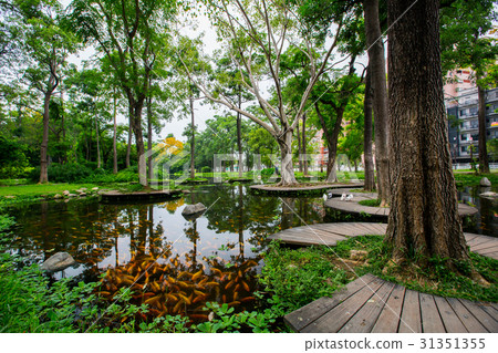 台灣高雄鳳山大東濕地公園Asia Taiwan Kaohsiung Park 台灣高雄鳳山大東濕地公園Asia Taiwan Kaohsiung Park 31351355