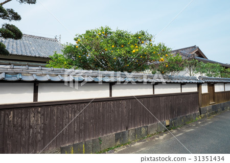 Townscape of summer mikan and Hagi 31351434