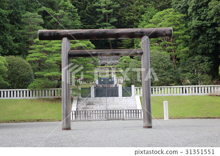 Tama-mouri 31351551