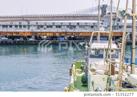 Odawara fishing port Odawara fishing port 31352277
