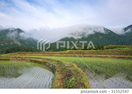 風推廣 31352587