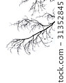silhouette branch white background 31352845