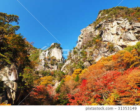 Promenade of autumnal leaves 31353149
