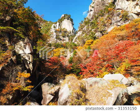 Promenade of autumnal leaves 31353150