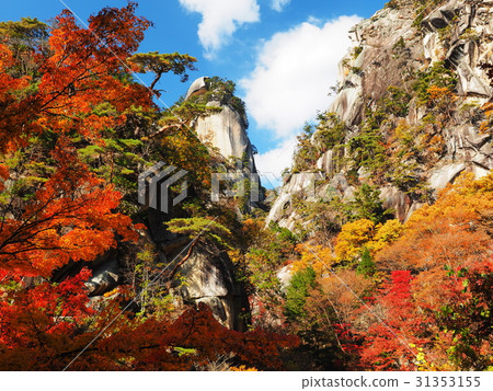 Promenade of autumnal leaves 31353155