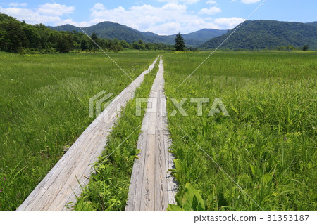 Look at Mt. Shirao, Mt. Abishi from the summer Oshase Shimoda era on the south side 31353187
