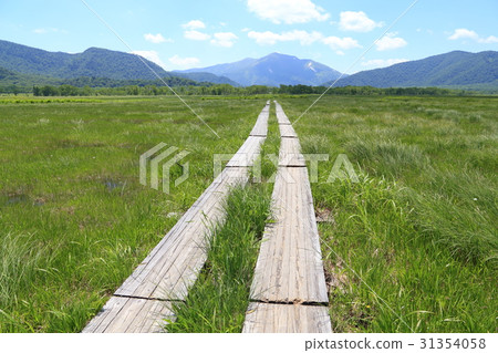從Summer Oze美麗的十字路口附近向佛山 從Summer Oze美麗的十字路口附近向佛山 31354058