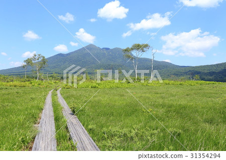 我在夏天從Oze Ryugu小屋看到Uketake 我在夏天從Oze Ryugu小屋看到Uketake 31354294