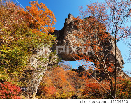 Mt. Mogoyama in autumnal leaves 31354730