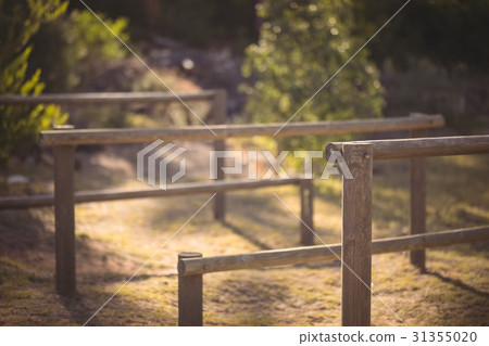 Outdoor equipment in boot camp Outdoor equipment in boot camp 31355020