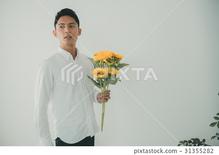 sunflower, sunflowers, gents 31355282
