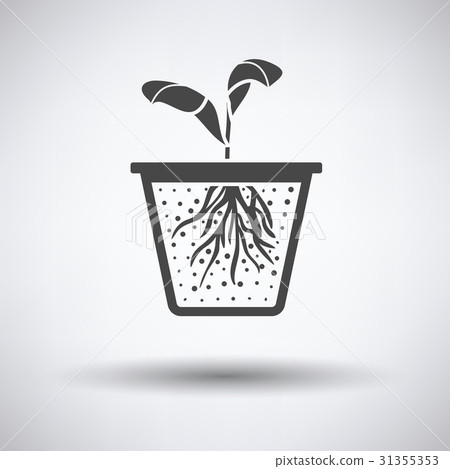 Seedling icon Seedling icon 31355353