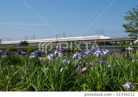 Tokaido Shinkansen N 700 series and flower buds 31356212