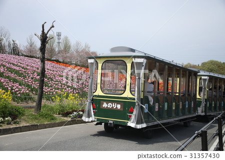 Harvest Hill Train 31357430