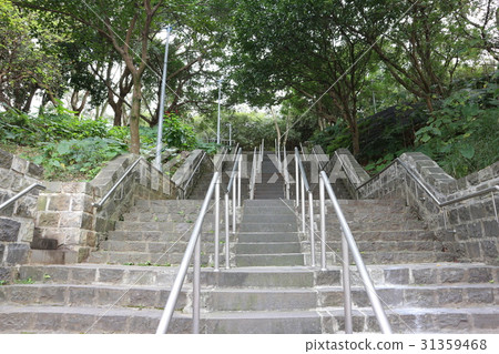 ladder in the park ladder in the park 31359468