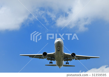 Passenger plane landing Passenger plane landing 31359595