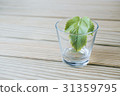 glass 31359795