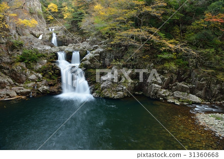 Three steps of autumn 31360668