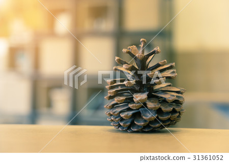 pine cones on the table 31361052