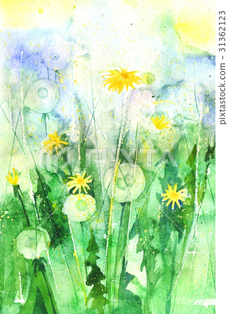 Watercolor dandelions in the garden Watercolor dandelions in the garden 31362123
