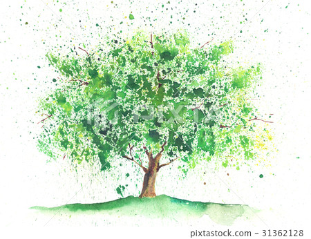 Watercolor summer tree Watercolor summer tree 31362128