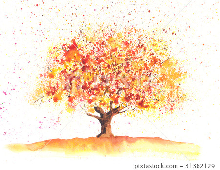 Watercolor autumn tree Watercolor autumn tree 31362129
