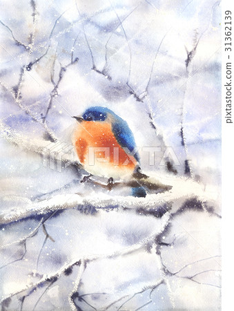 Bird sitting on a branch Bird sitting on a branch 31362139
