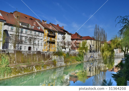 盧布爾雅那鎮 盧布爾雅那鎮 31364208