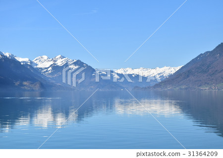 布里恩茨湖 31364209