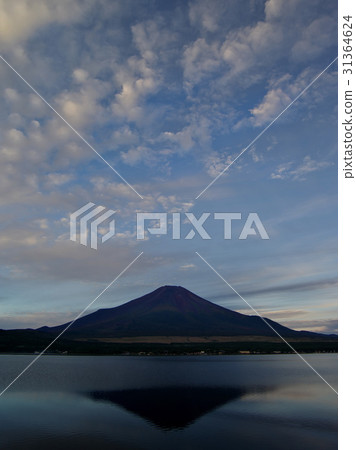 Autumn Fuji of Yamanakako Autumn Fuji of Yamanakako 31364624