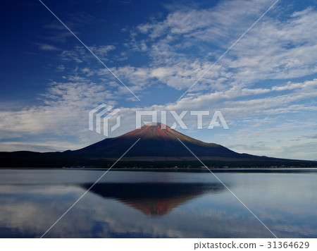 山中湖的秋天富士 山中湖的秋天富士 31364629