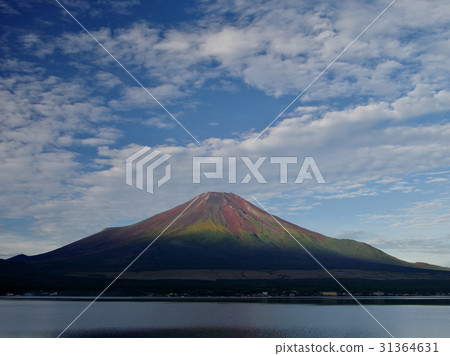 山中湖的秋天富士 31364631