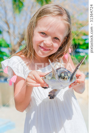 A little cute girl with a small turtle in her A little cute girl with a small turtle in her 31364724