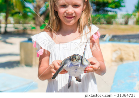 Little adorable girl with a small turtle in her Little adorable girl with a small turtle in her 31364725