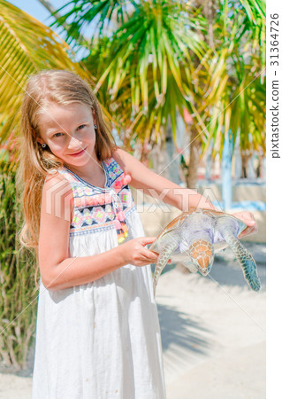 Little adorable girl with a small turtle in her Little adorable girl with a small turtle in her 31364726