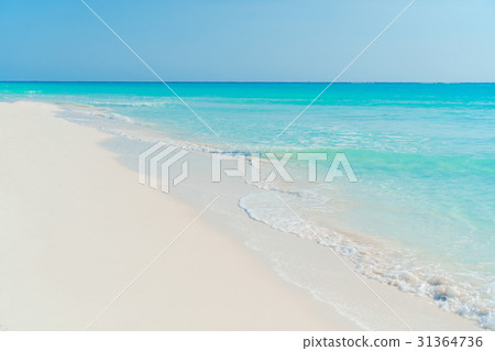 Perfect white sandy beach with turquoise water Perfect white sandy beach with turquoise water 31364736