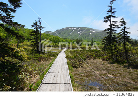 Niseko Shinsenuma Promenade 31364822