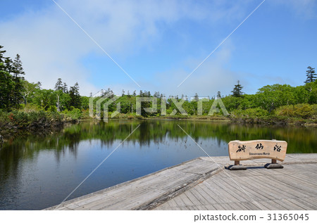 二世谷新森 二世谷新森 31365045