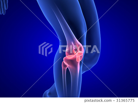 Knee Pain. Blue Human Anatomy Body 3D render on 31365775